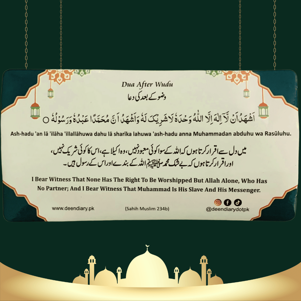 Choose Your Own Multiple Dua